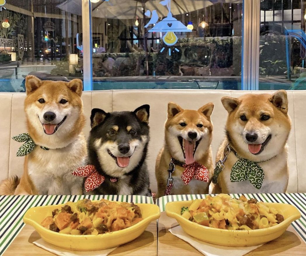 PS BUBU金屋藏車食堂(Photo: Instagram / @sooyaaa__)