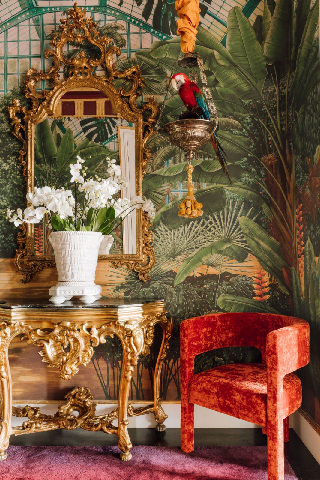 red velvet chair rainforest background and gold ornamental mirror
