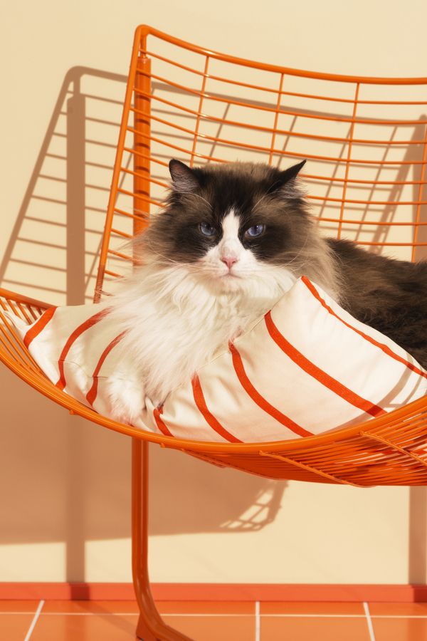 Lounge in comfort with the SKÅLBODA