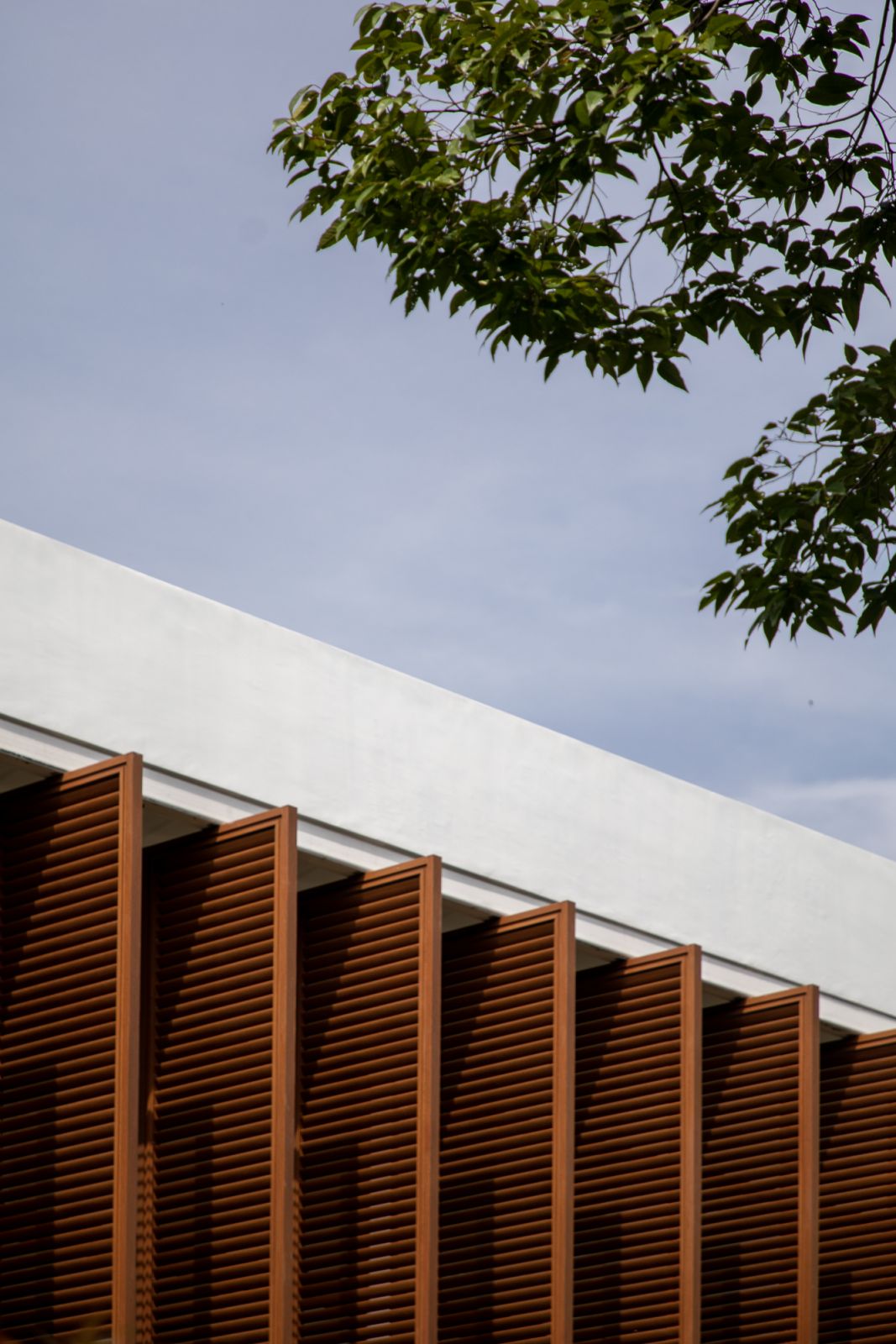 Large wooden shutters are anchored at different degrees of opening