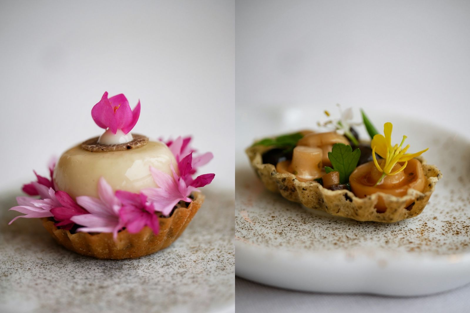 Two of the snacks at the start of the meal: Tartelette of white asparagus vichyssoise and Wild mushroom, miso, soy, dill tartelette