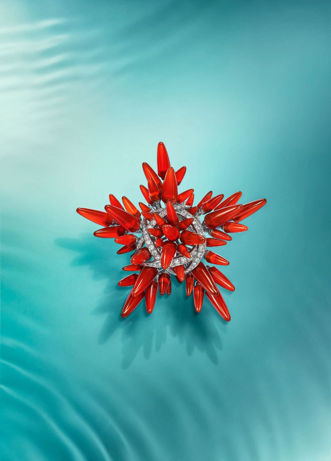 深海星芒胸針(Photo:Tiffany & Co.)