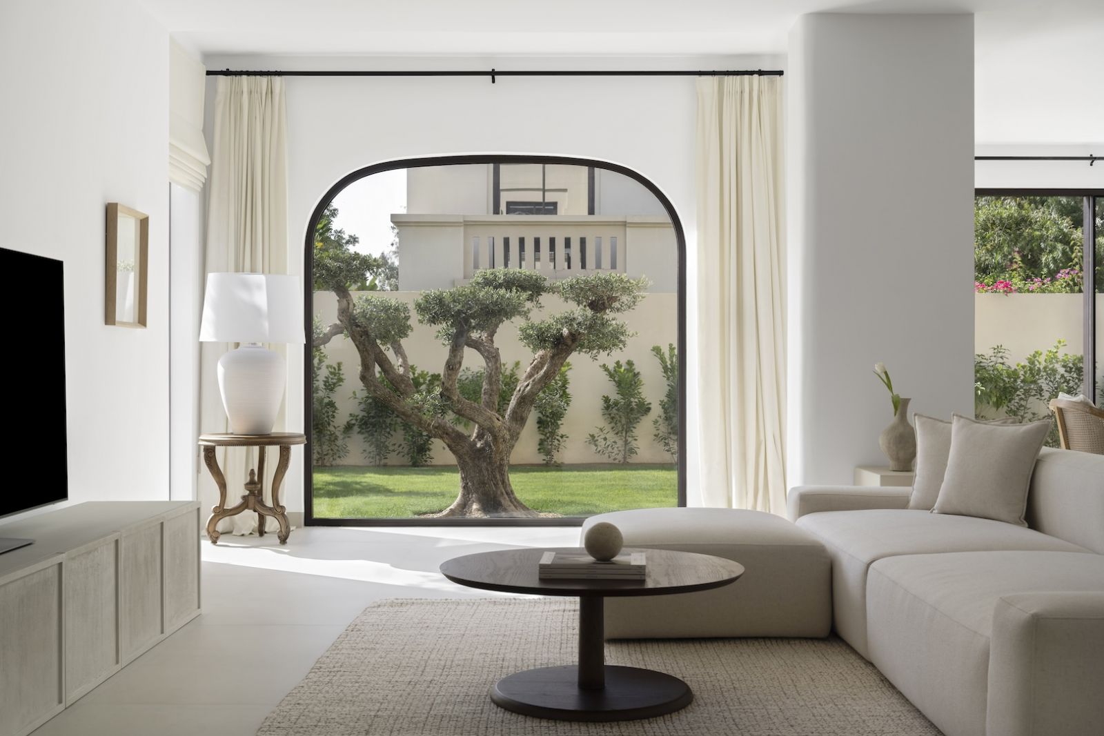 Rounded archway frames 70+ year old olive tree outside