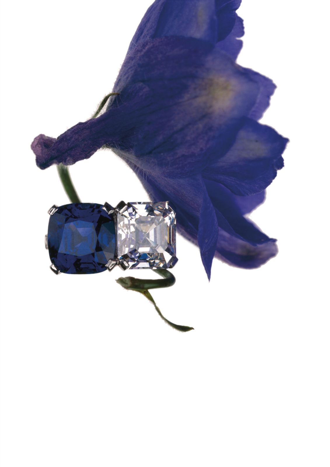 Faerber Collection Toi & Moi diamond and sapphire ring (Photo: courtesy of Katharina Faerber/Faerber Collection)