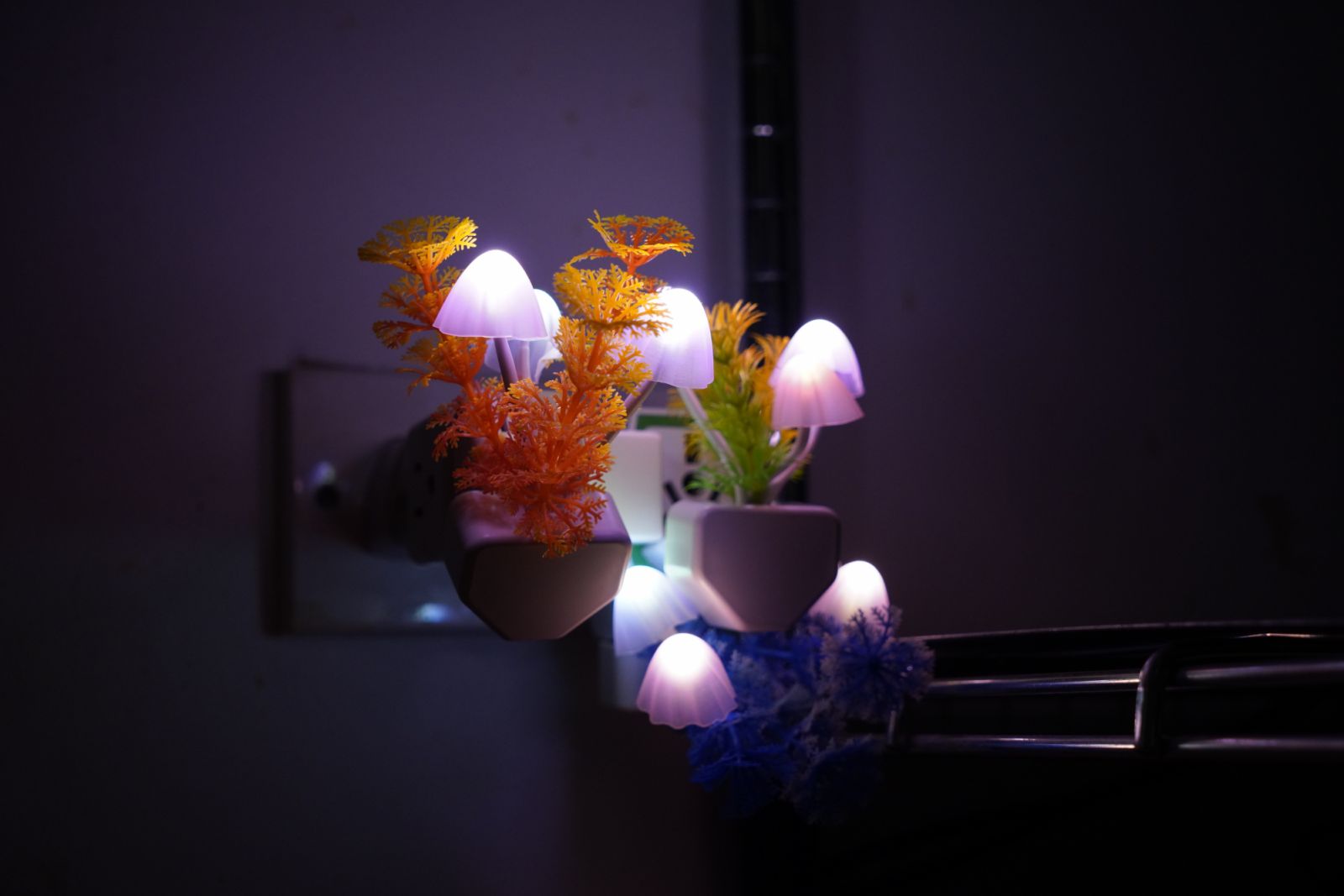 Trevor Yeung, Night Mushroom Colon (my old work desk) (2023) (Photo: courtesy Para Site)