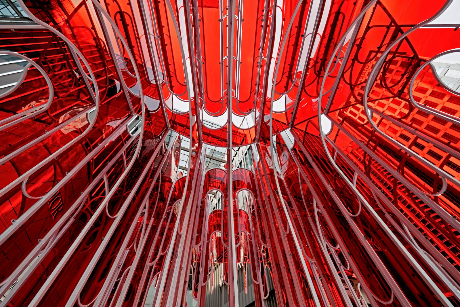 Crimson Cloud (Photo: Aaron Wong)