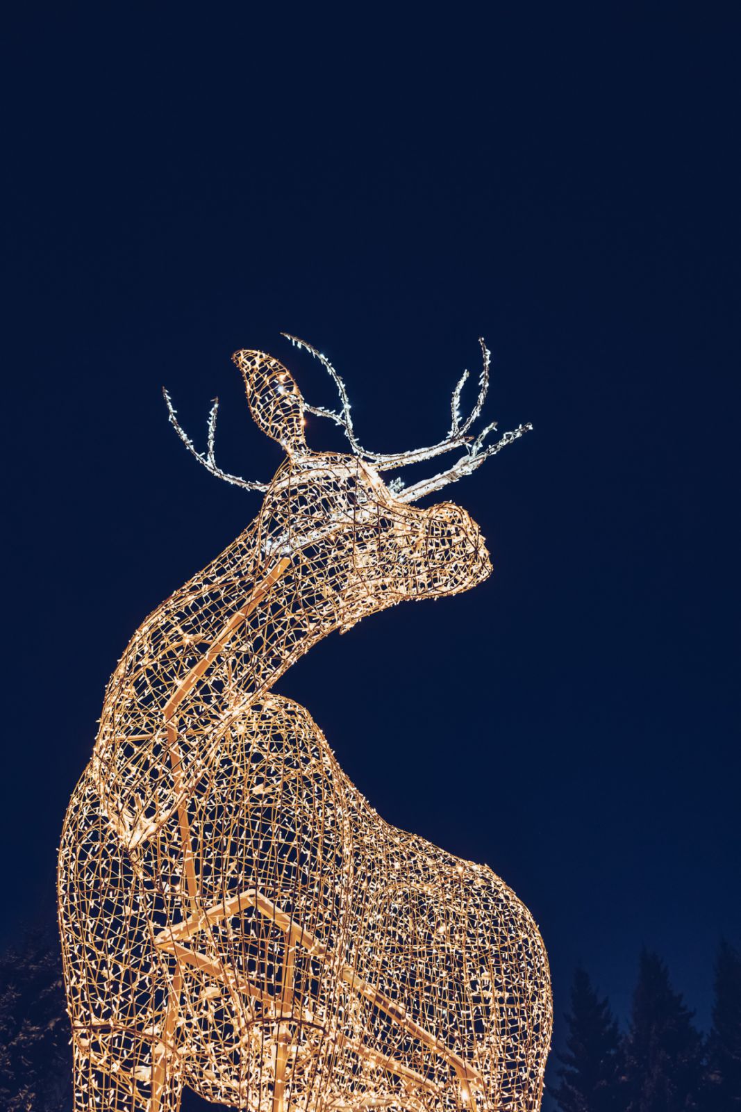 close view of big illuminated reindeer placed as winter holidays decor at night