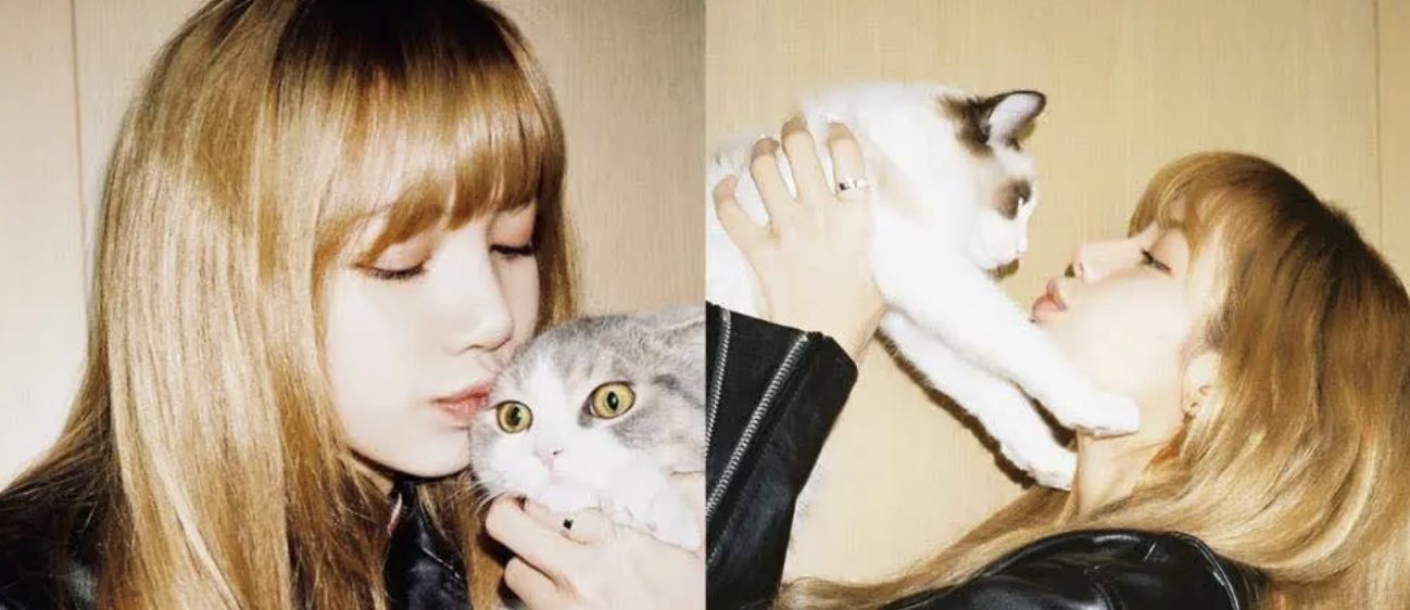 Lisa與她的愛貓(Photo: Instagram / @lalalalisa_m)