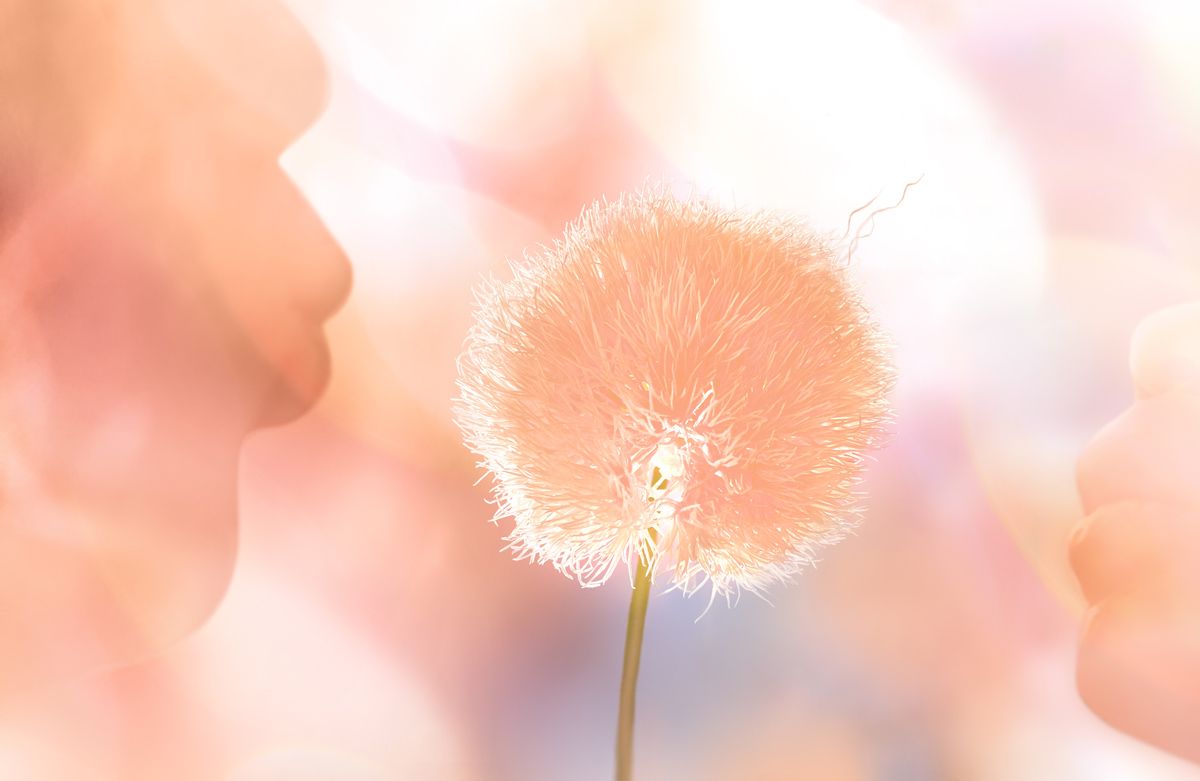 Pantone 13-1023 Peach Fuzz