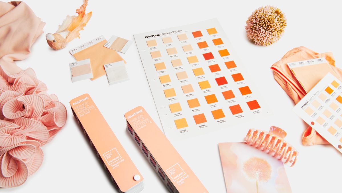 13-1023 Peach Fuzz