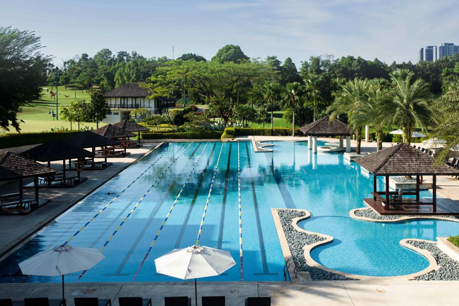 The Olympic-sized swimming pool