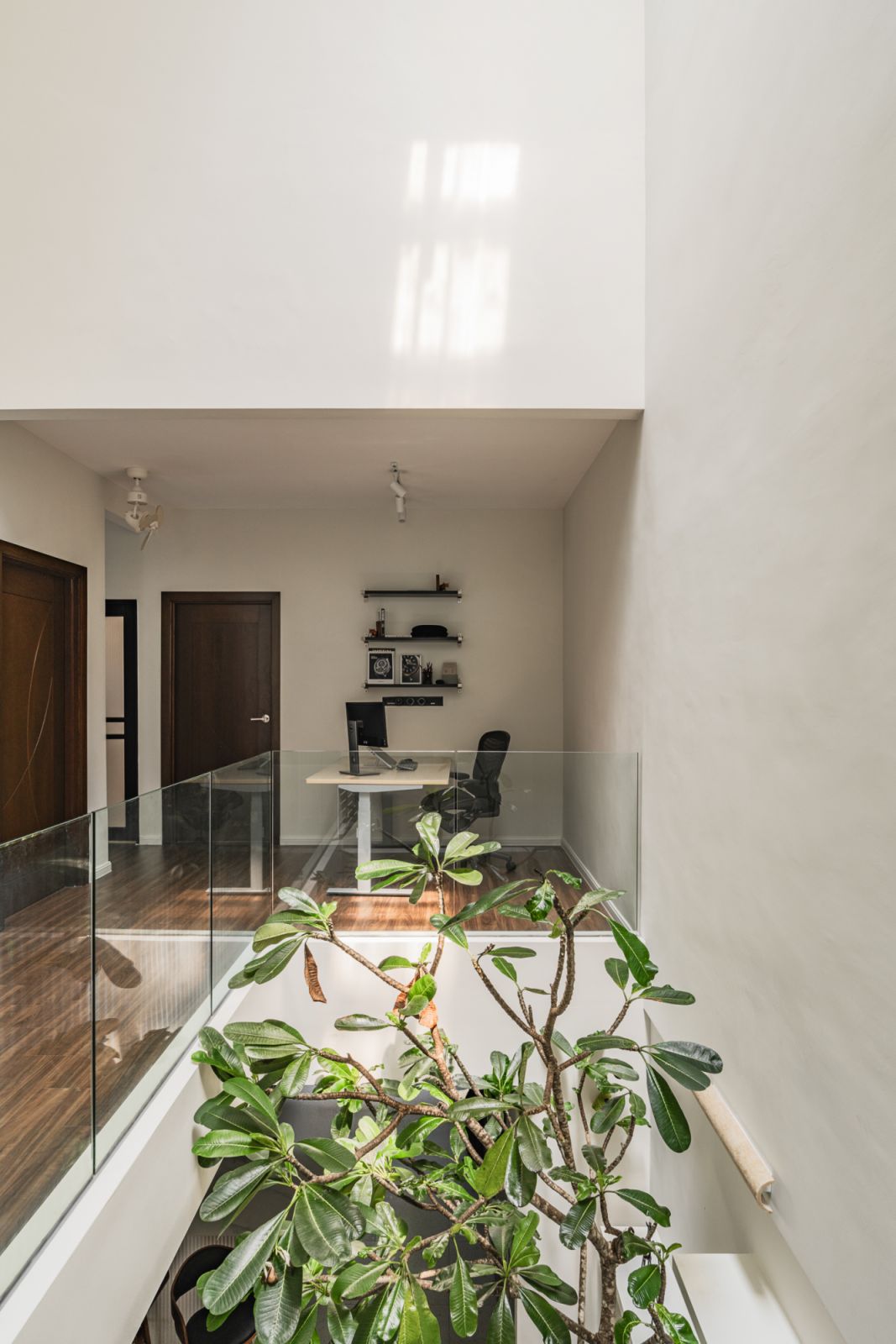 The tree rises to the second floor