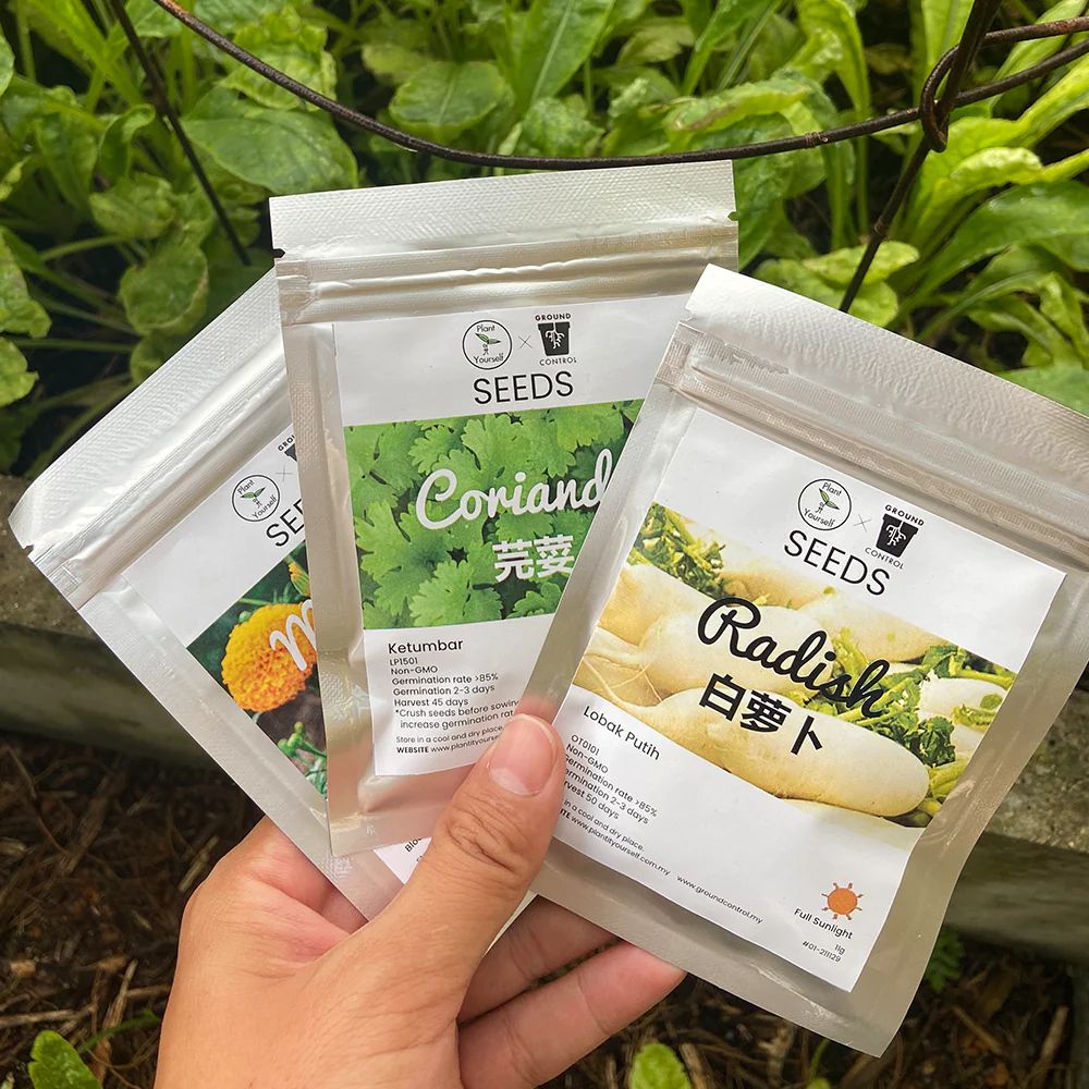 Ground Control's GC Seeds (Photo: Ground Control)