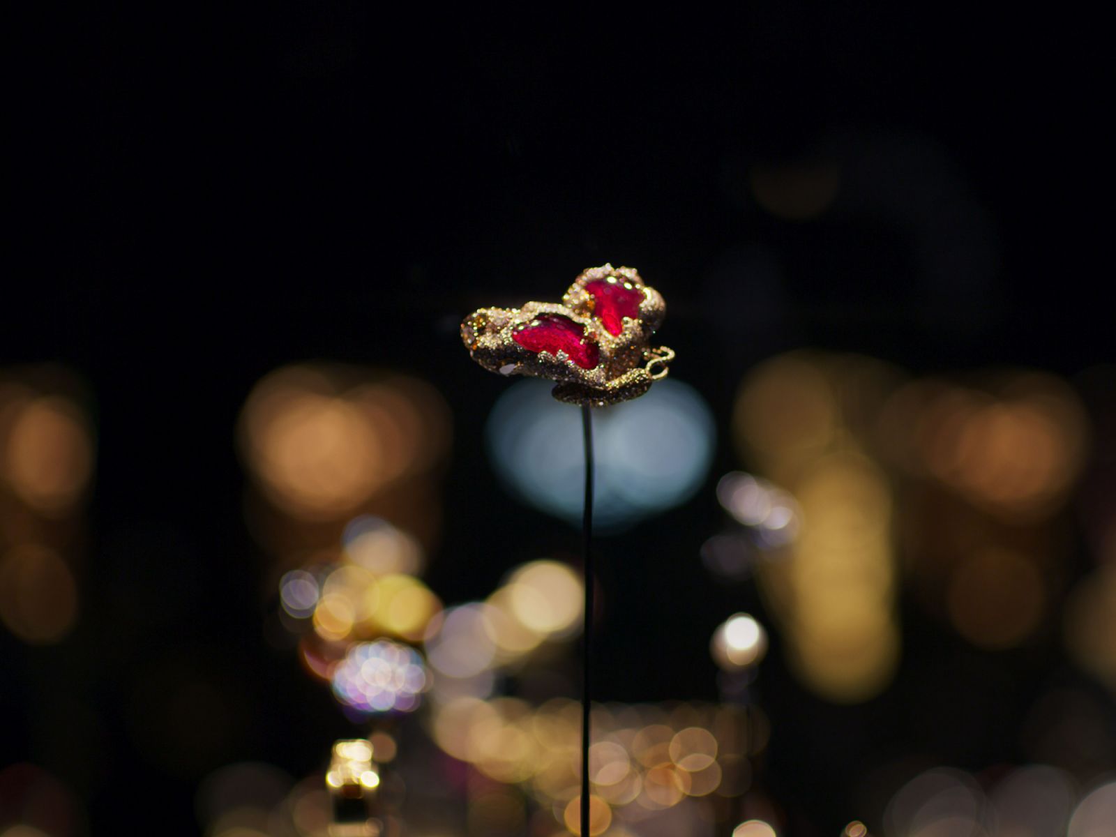 博物館典藏展覽室照片(Photo:Cindy Chao)