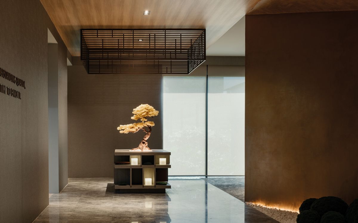 An illuminated bonsai plant makes a sculptural statement in this corridor
