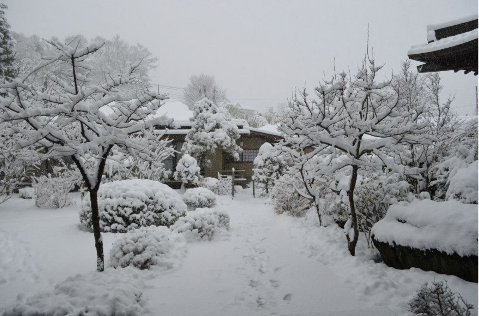 (Photo: 河口湖富士温泉寺夢殿日式旅館)