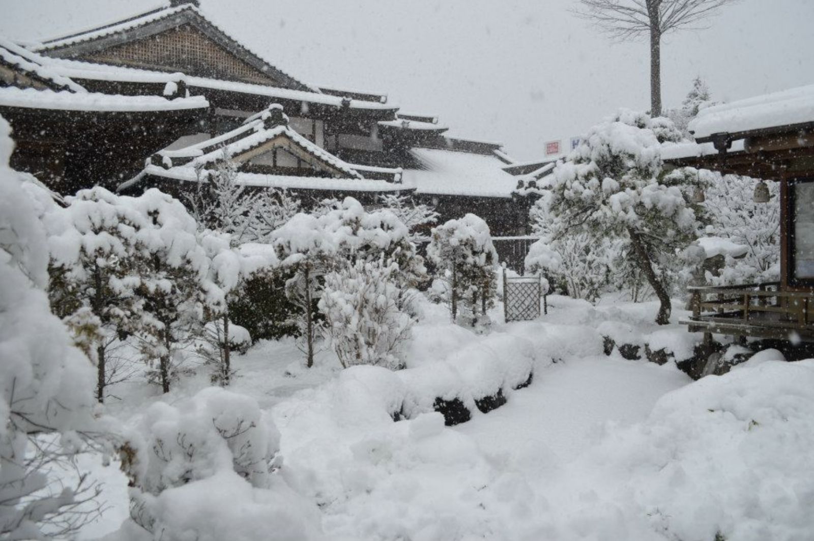 (Photo: 河口湖富士温泉寺夢殿日式旅館)