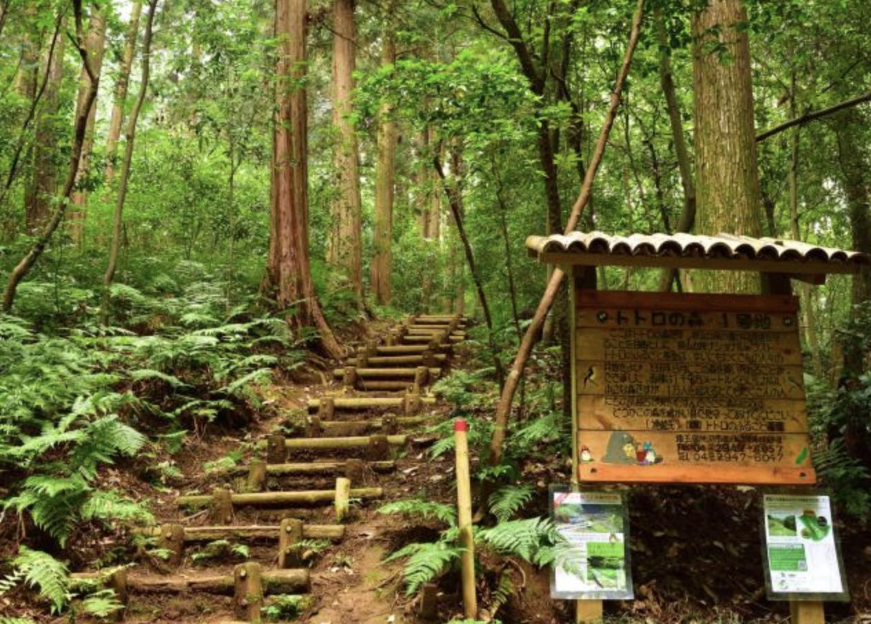 《龍貓》日本埼玉縣所沢市的狹山丘陵