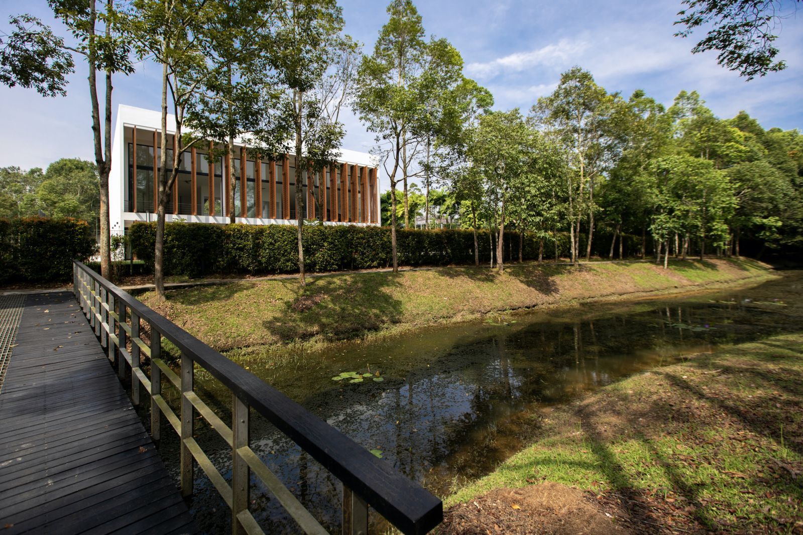 Incorporating the lush parkland to the design intent
