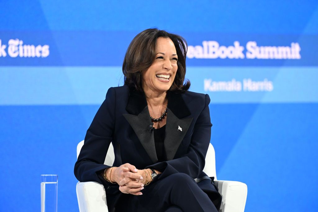 NEW YORK, NEW YORK - NOVEMBER 29: Vice President Kamala Harris speaks onstage during The New York Times Dealbook Summit 2023 at Jazz at Lincoln Center on November 29, 2023 in New York City. (Photo by Slaven Vlasic/Getty Images for The New York Times)