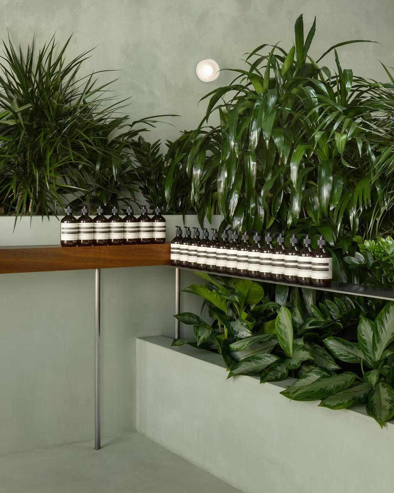 Aesop Palisades Village, Los Angeles