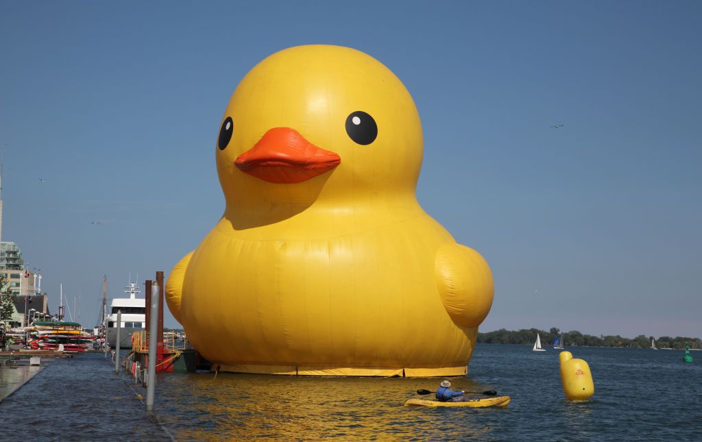 The world's largest rubber duck arrived in Toronto, Ontario, Canada, on June 30, 2017, in preparation for the upcoming celebrations for the 150th birthday of Canada. The 13,600-kg inflatable duck was created by Dutch artist Florentijn Hofman and is more than 27 meters in length and nearly six storeys tall. The giant rubber duck will tour through Ontario as part of the Redpath Waterfront Festival. The 150th anniversary of Canada (the 150th anniversary of Confederation) will take place on July 1, 2017, with m