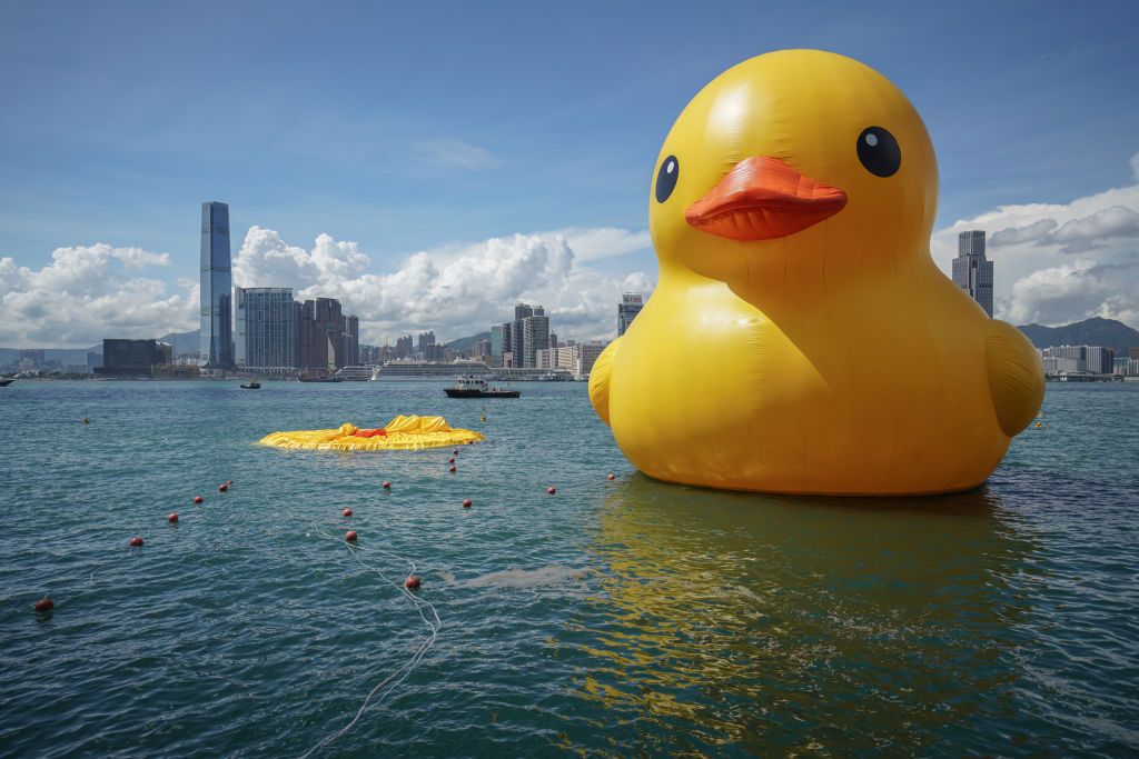 HONG KONG - 2023/06/10: An enormous inflatable duck at Victoria Harbour while a second duck has been deflated. Starting from June 10th, 2023, the highly anticipated art exhibition named "Double Ducks," created by Dutch artist Florentijn Hofman, officially opens to the public at Victoria Harbour in Hong Kong. The exhibition features two enormous inflatable ducks and marks the second visit of the giant inflatable duck to Hong Kong, with the first one having taken place a decade ago. Unfortunately, the organiz