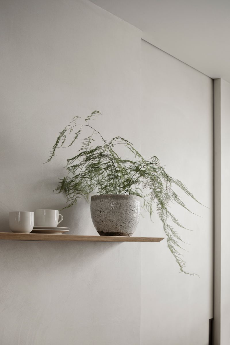 Potted fern lends a biophilic touch