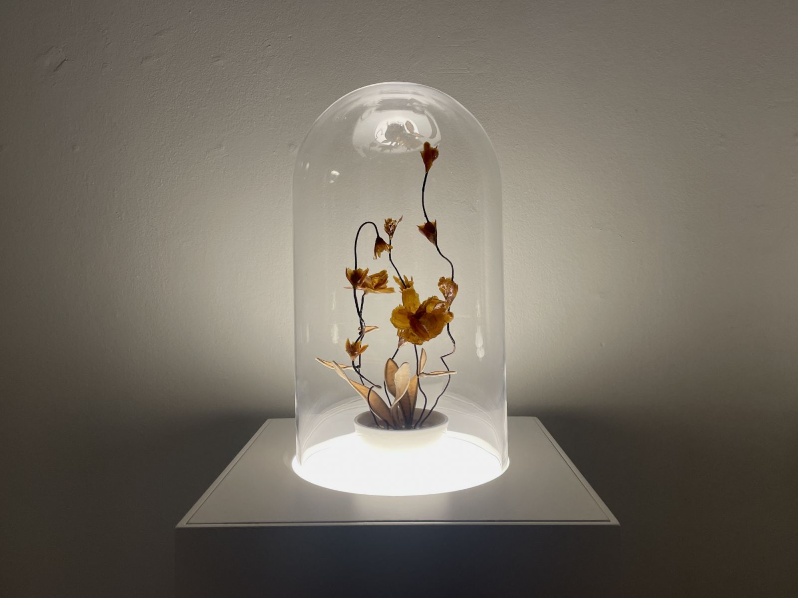 let it be known that i am trying. (Shown at Mizuma Gallery). Photo: artist