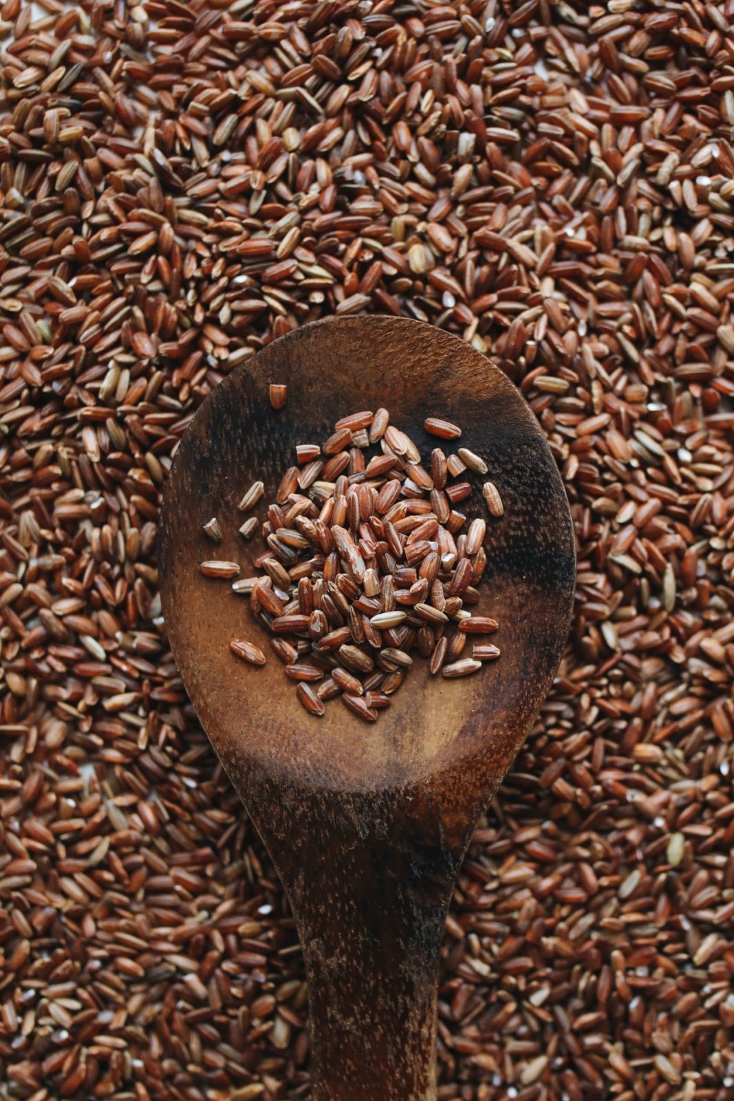 Rice Alternatives - brown rice Photo Polina Tankielvitch / Pexels