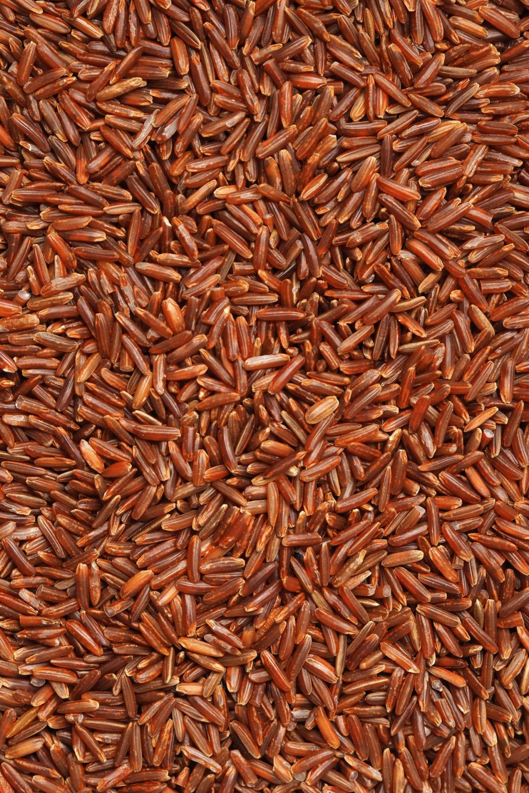 Rice Alternatives - red rice Photo Lukasz Rawa / Unsplash