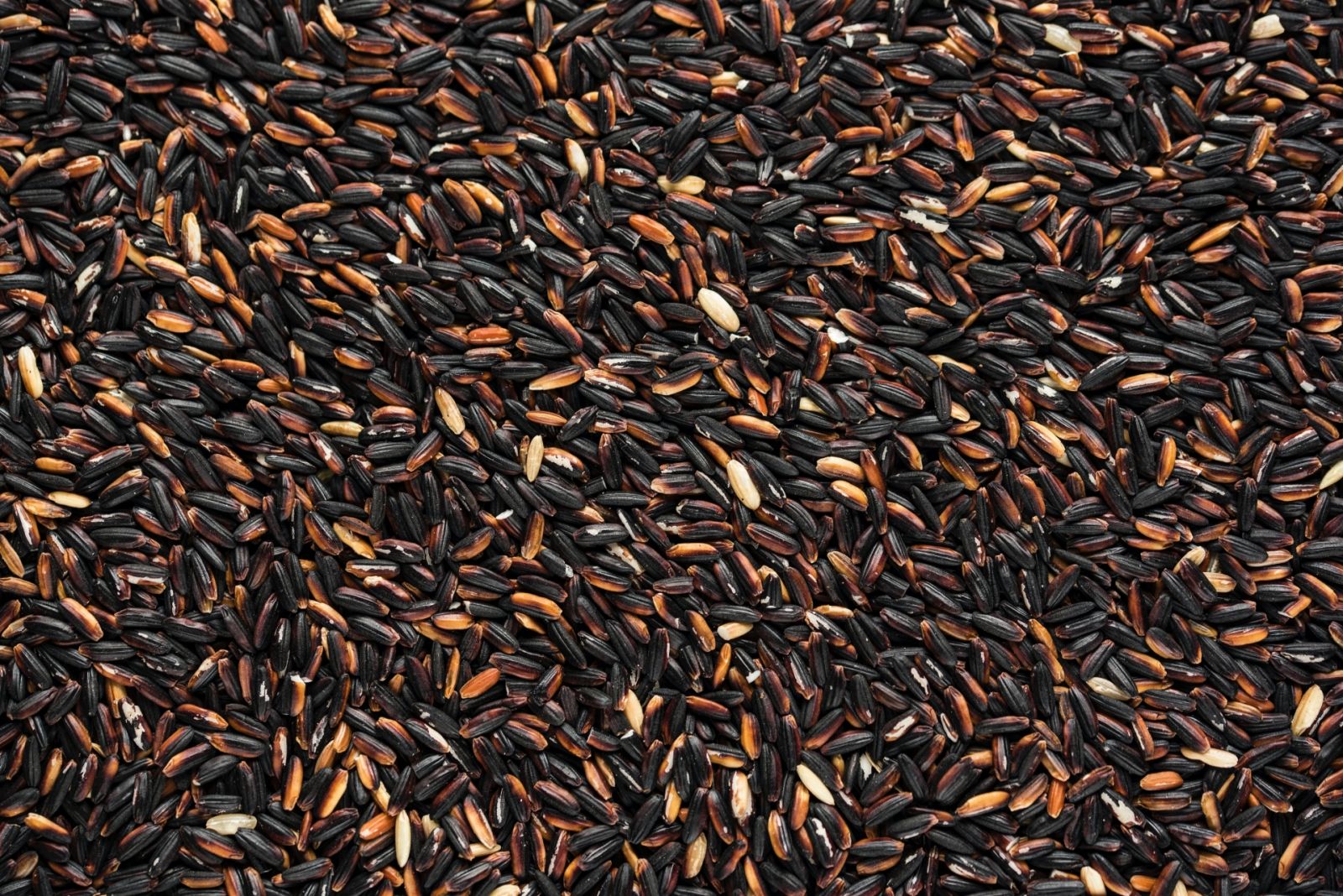 Rice Alternatives - black rice Photo Pierre Bamin / Unsplash