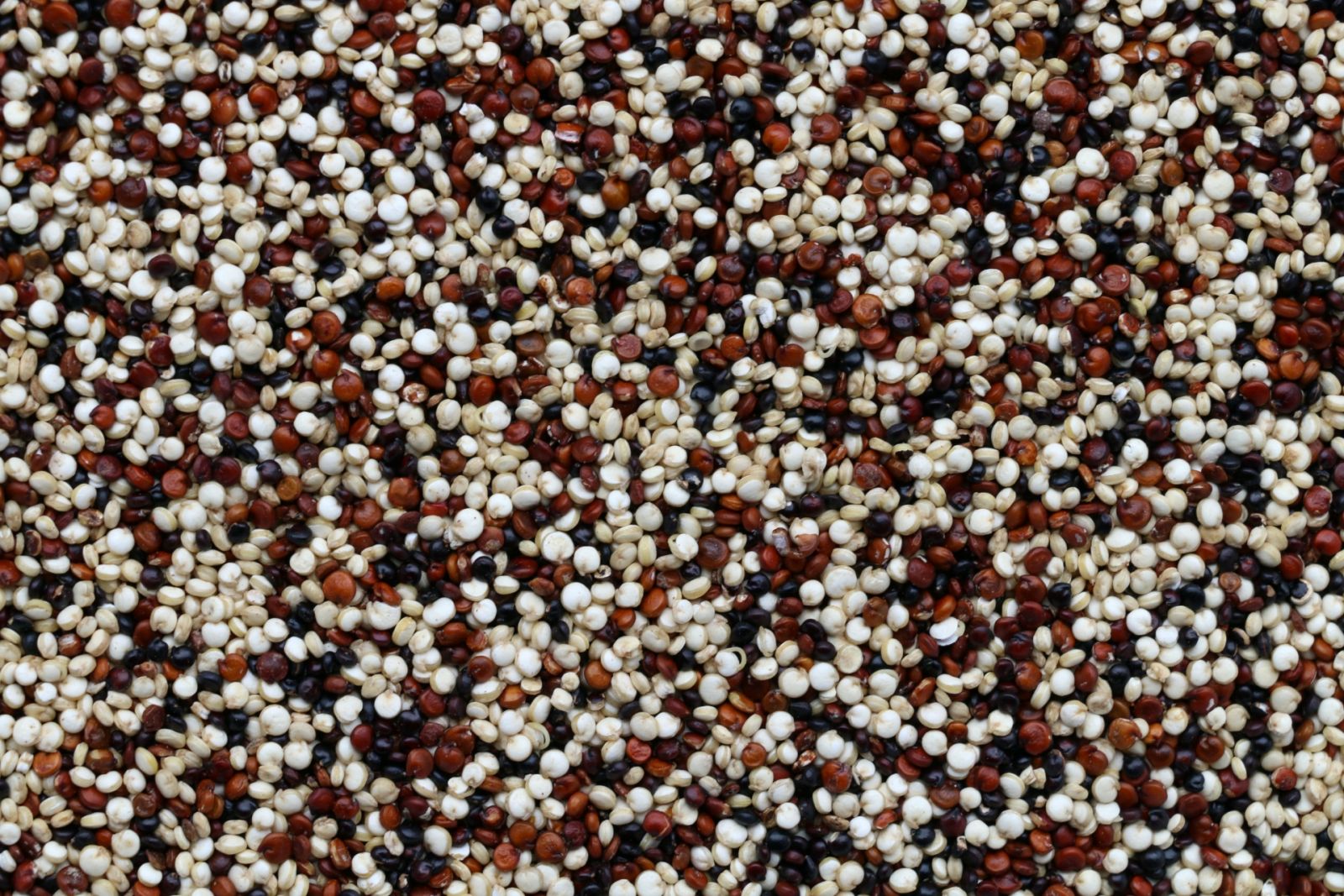 Rice Alternatives - quinoa Photo Pierre Bamin / Unsplash