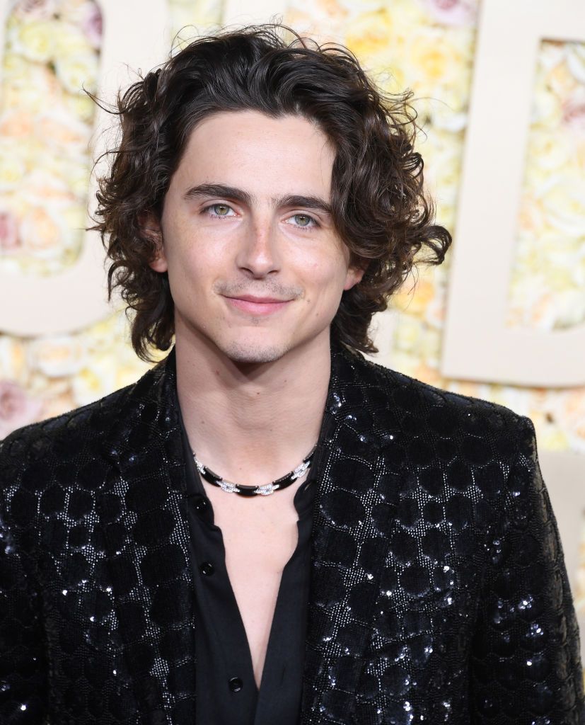Timothee Chalamet以Celine亮片刺繡禮服搭配卡地亞珠寶。(Photo by Steve Granitz/FilmMagic)