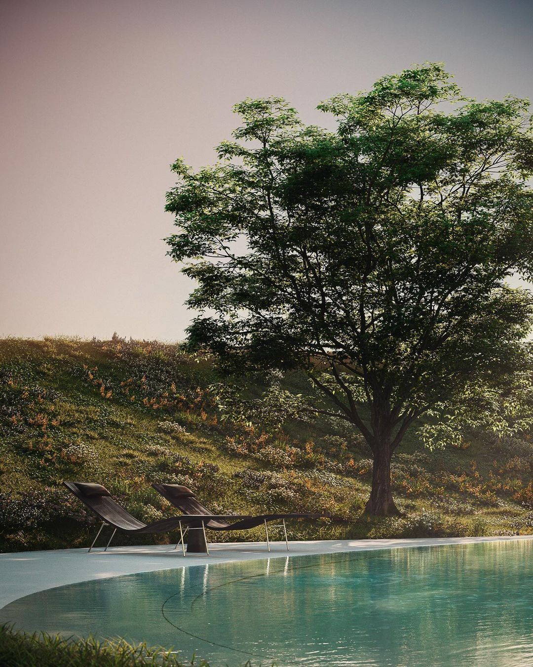 The courtyard pool in the shade of a tree (Photo: Instagram/@notahotel_official)