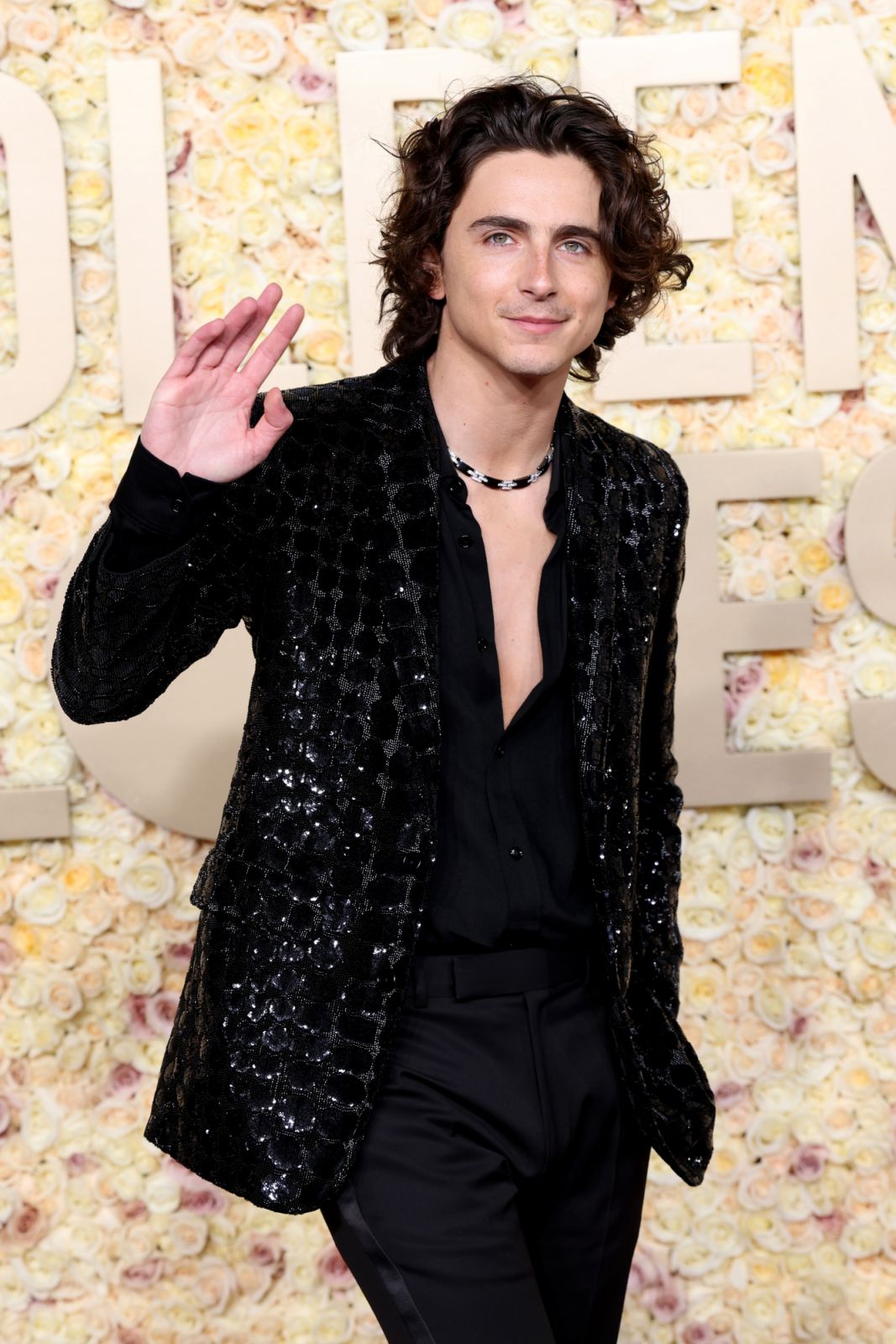 BEVERLY HILLS, CALIFORNIA - JANUARY 07: Timothée Chalamet attends the 81st Annual Golden Globe Awards at The Beverly Hilton on January 07, 2024 in Beverly Hills, California. (Photo by Monica Schipper/GA/The Hollywood Reporter via Getty Images)