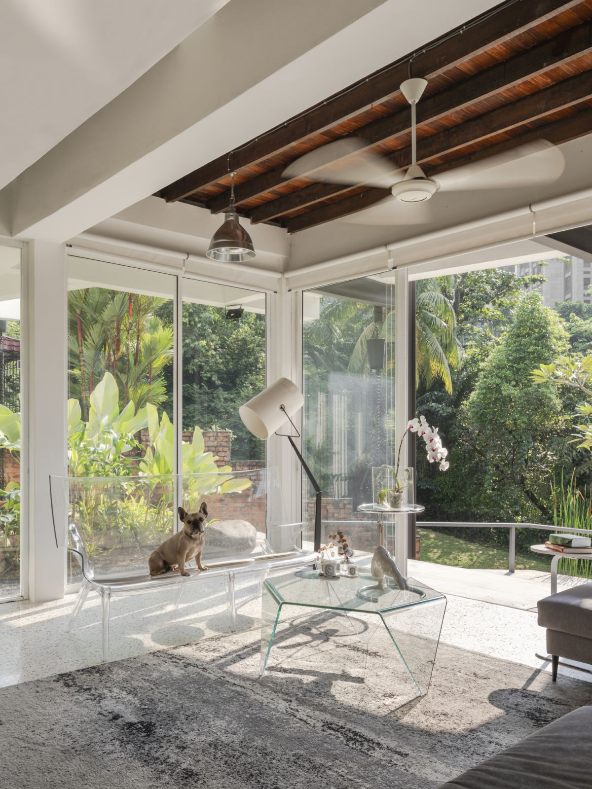 The home opens up to embrace the large outdoor space