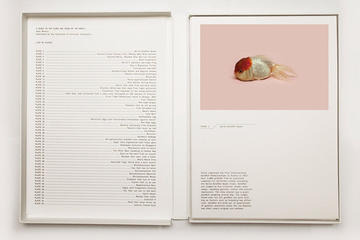 A Guide to the Flora and Fauna of the World looks at human intervention and its effects on the natural world. Photo: Shanghart Gallery