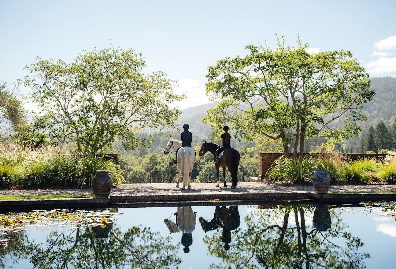 An unimpeded view of the lush surrounds