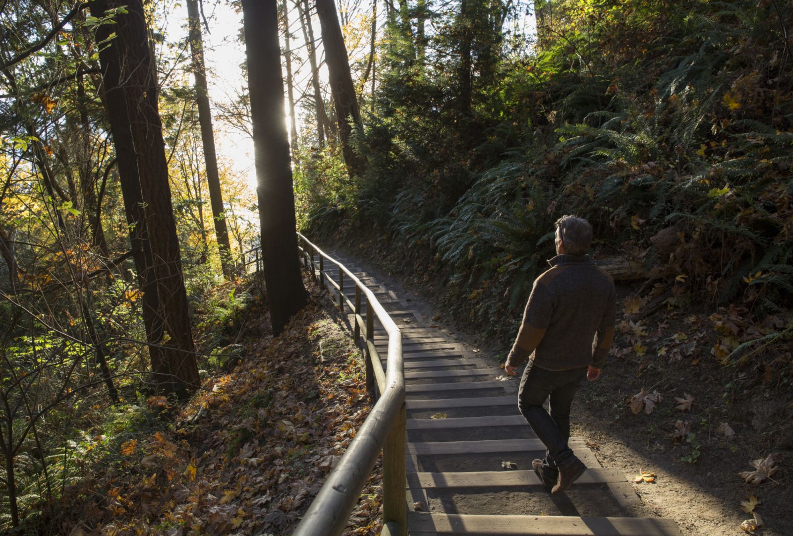 The sun is illuminating the steps and the man in the forest