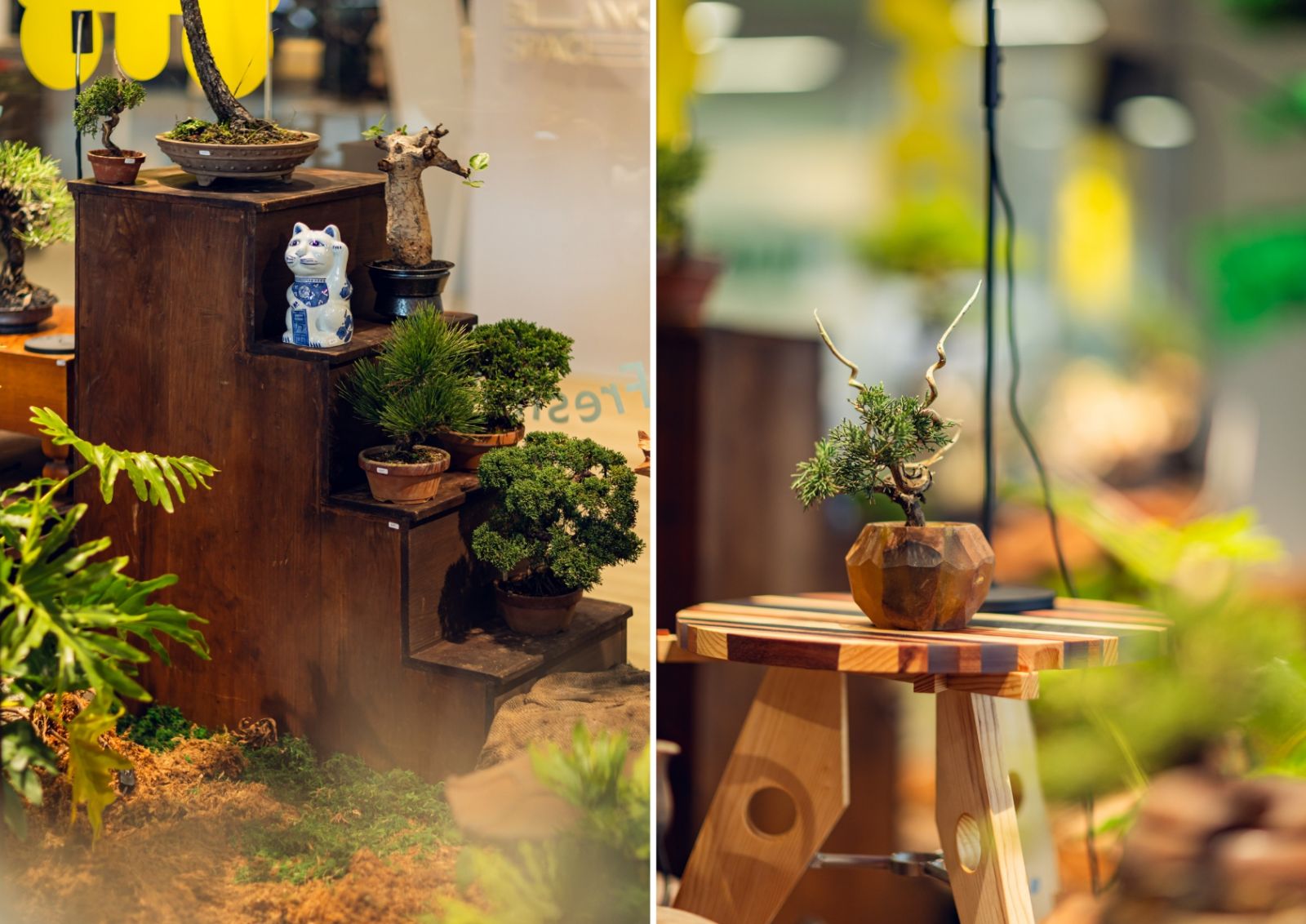 日本古典美學「裏山古物」與最侘寂禪意的「0343 CONSERVATORY」塊根植物。（Photo:NOKE）