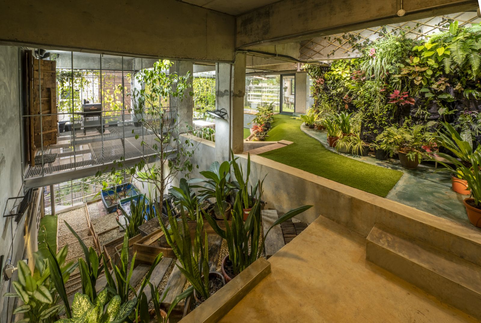 The urban garden below the house provides vegetables for the family