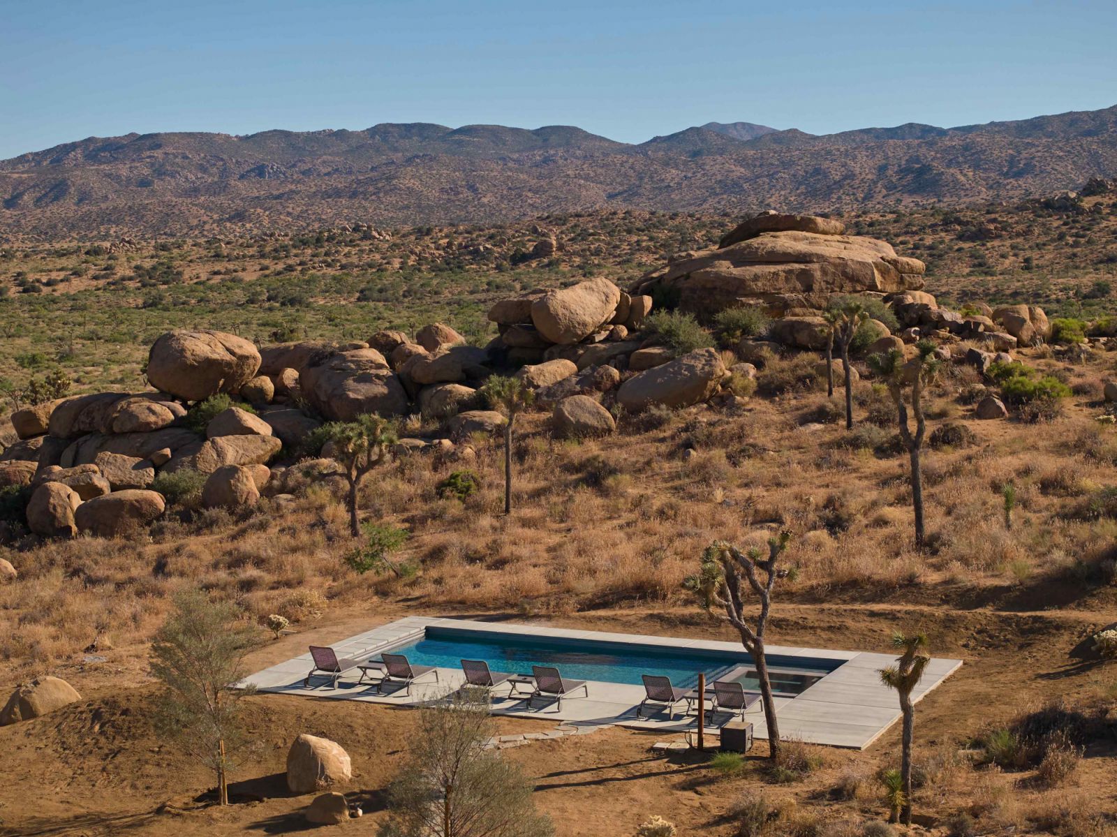 The 36-foot saltwater pool with the Joshua Tree National Park as a backdrop