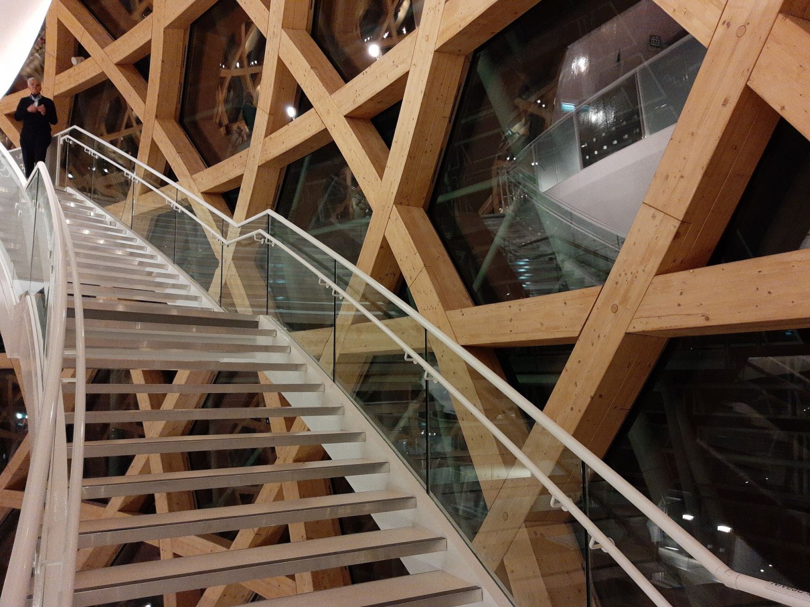 The laminated timber lattice framing of the ovoid structure (Photo: Gerda Arendt / WikiCommons)