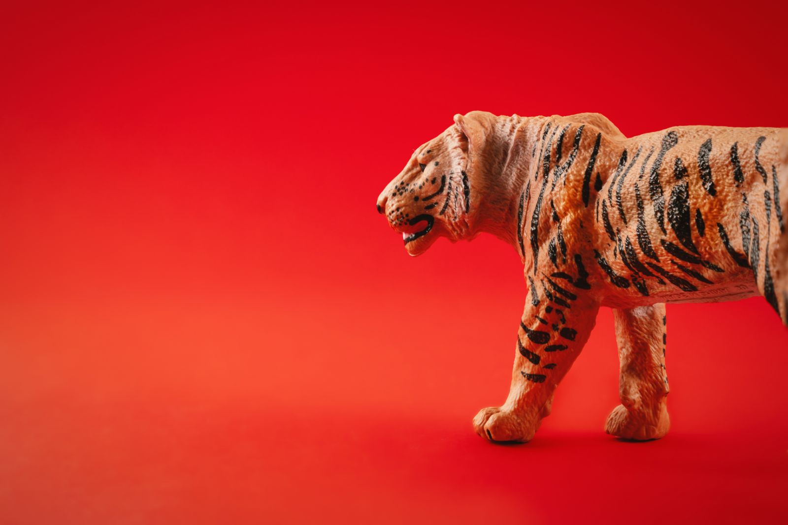 The Year of the Tiger is good from a financial milestone perspective (Photo: Getty Images)