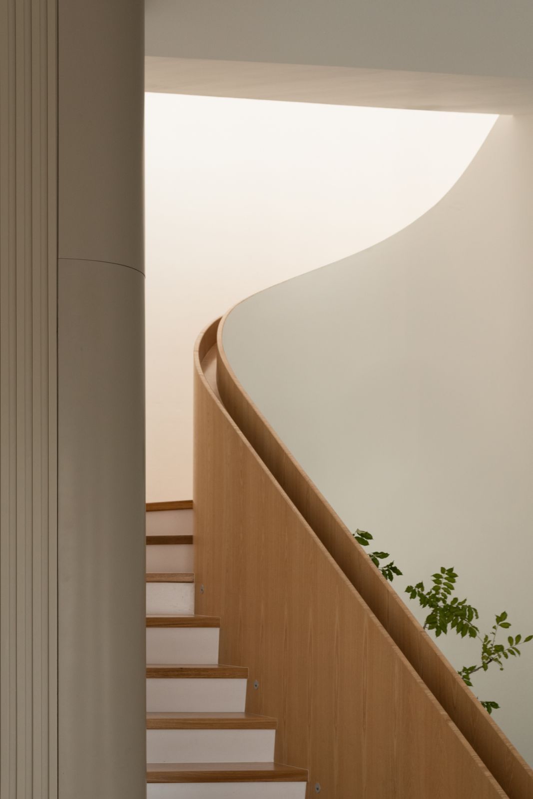 The curved staircase is a focal point (Photo: TWJPTO)