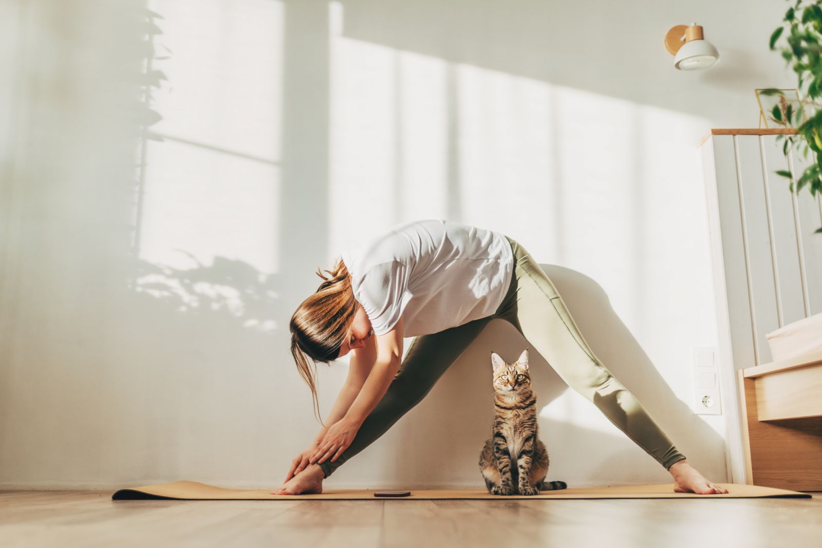 Young attractive smiling woman practicing yoga, stretching in Scorpion exercise, variation of vrischikasana pose, working out, wearing sportswear, grey pants, bra, indoor full length, home interior