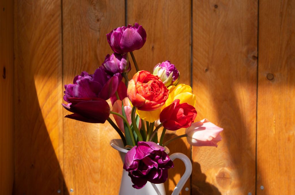 PRODUCTION - 27 April 2023, Saxony-Anhalt, Kemberg: A vase of flowers with colorful tulips stands in front of a wooden wall. Photo: Viola Lopes/dpa (Photo by Viola Lopes/picture alliance via Getty Images)