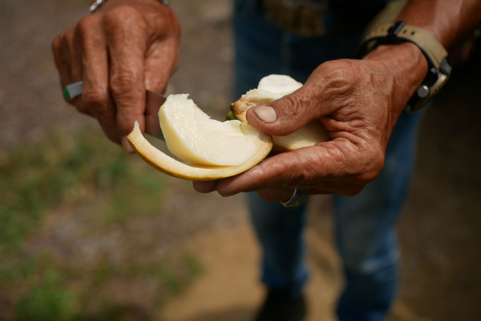 One of the joys of the fruit farm was trying the fruit fresh
