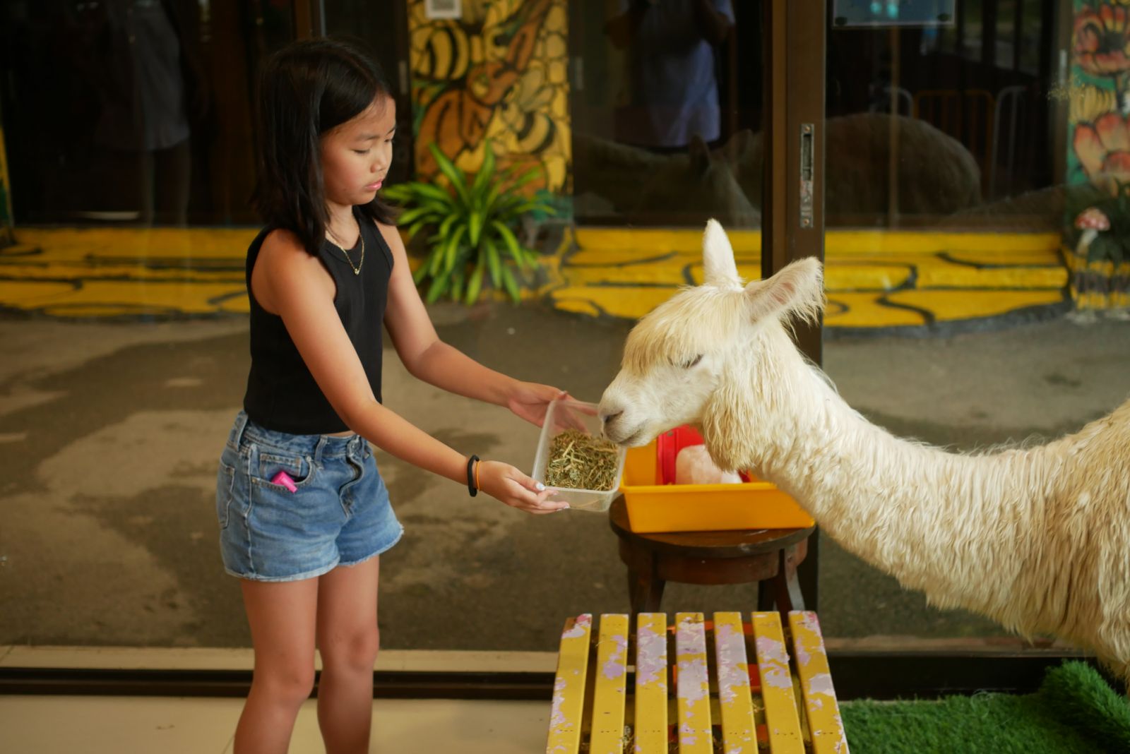 My daughter feeding a new friend at Desaru Fruit Farm
